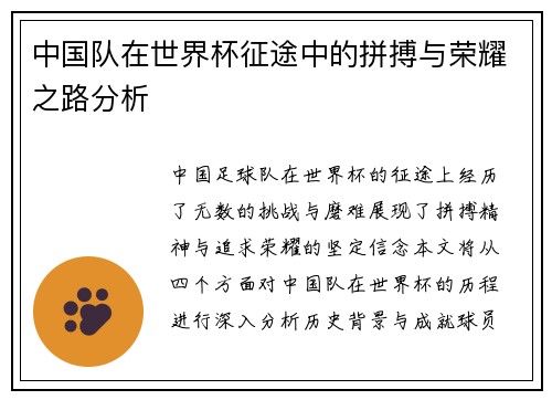 中国队在世界杯征途中的拼搏与荣耀之路分析